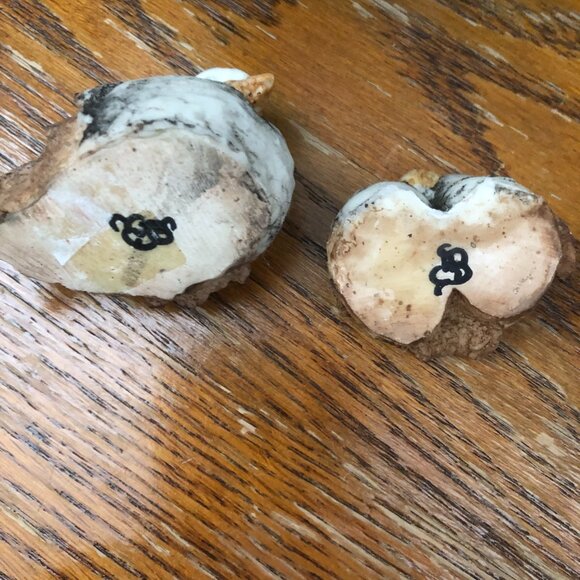 Mommy and Baby Birds Ceramic Collectibles - Picture 3 of 4